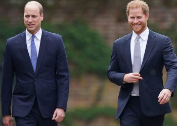 Britain's Prince William, The Duke of Cambridge, and Prince Harry, Duke of Sussex, attend the unveiling of a statue they commissioned of their mother Diana, Princess of Wales, in the Sunken Garden at Kensington Palace, London, Britain July 1, 2021. Dominic Lipinski/Pool via REUTERS